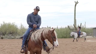 HOW TO GET YOUR HORSE TO CRAVE A SLOW LOPE 