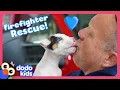 Download Lagu Firefighters Rescue Puppy And Find Him A Home | Dodo Kids | Rescued!