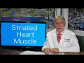 What keeps the heart beating Automaticity This is Heart Health 101