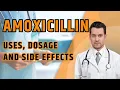 What is AMOXICILLIN What is Amoxicillin used for Uses Dosage and Side Effects