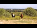 Una Vaca Ranch - Erath County Texas