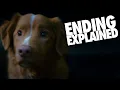 GOOD BOY (2025) Ending Explained