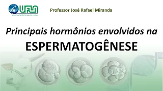 Principais hormônios envolvidos na espermatogênese