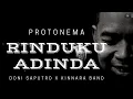 Download Lagu Rinduku Adinda - Protonema by Doni Saputro  X Kinnara Band