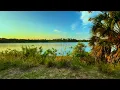 Tropical POV Escape to This Peaceful Florida Sanctuary