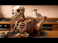 Download Lagu SIGMA BOY х ALL BRAINROT Animals but NEW THE RAREST Animals