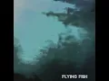 Flew - Dog silent
