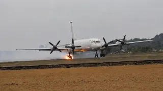                                       دندنها