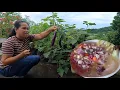 Download Lagu Tortang talong baon ni Hana at Ayah