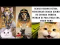 Download Lagu KETIKA KUCING MENDENGAR SOUND ZAMAN MESIR KUNO