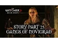 The Witcher 3 Wild Hunt - Story