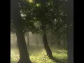 Dreamcore - hisohkah school rooftop slowed - palomitas - pájaros de fondo 🕊️🤍