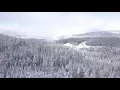 Jazzinuf - Snowflower Samurai | Jazzinuf and Etymology Records