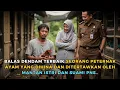 Download Lagu KISAH NYATA ‼️SEORANG PETERNAK AYAM YANG DIHINA OLEH MANTAN ISTRI DAN SUAMI BARU PNS..!!