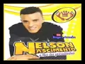 Download Lagu Nelson Nascimento - O Rei da Pizadinha