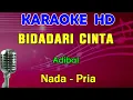 Download Lagu BIDADARI CINTA - Adibal | KARAOKE Nada Pria