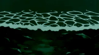 Edward Maya Vika Jigulina Stereo Love X Akcent That S My Name 𝓼𝓵𝓸𝔀𝓮𝓭 𝓻𝓮𝓿𝓮𝓻𝓫 