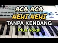Download Lagu ACA ACA NEHI NEHI || KOPLO TANPA KENDANG || PLUS VOKAL