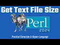 Learn Perl Programming - Get Text File Size 2024