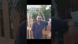 حب الناس نعمه دندنها