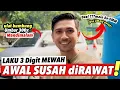Download Lagu PIALA PAKUALAM 2025‼️JEJER MB SINGOEDAN ANDRIBOLANG JUGA TERTARIK||DIBELI UNTUK MAIN DISMM