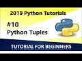 2019 Python Programming Tutorial 10 Tuples