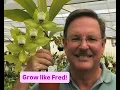 Download Lagu Catasetum Care Guide with Fred Clarke