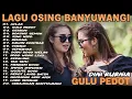 Download Lagu Album Dini Kurnia - ACLAK, GULU PEDOT, GERIGIS - Full Album Lagu Osing Banyuwangi On Trending 2025