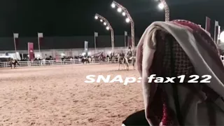 شيلة الليالي الطويلة بطيء 