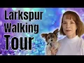 Larkspur Walking Tour - a MUST see