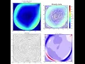Transient Lid Driven Cavity Re 10000 fluid simulation Python