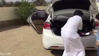 جننوه دندنها