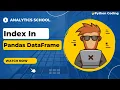 How to Use Index in Pandas DataFrame - With Examples