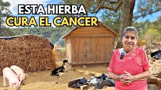 AQUÍ YA TENEMOS 45 AÑOS Y SIEMPRE HE LUCHADO POR MI FAMILIA