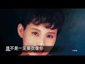 李明依    是不是一定要我像你      封面字幕版
