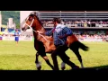 The Welsh Pony and Cob Society