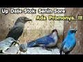 Lagu Up Date Stok Senin Sore❗❗❗ Ada Promonya...❗❗❗