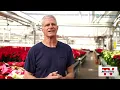 Out East with Doug Geed Getting in the holiday spirit with poinsettia growers