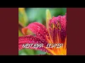 Download Lagu МЕЛОДИЯ ДОЖДЯ
