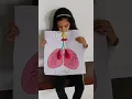 Download Lagu prish shah grade 2 project lungs,,,