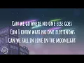 Dhruv  -  Moonlight (Lyric)