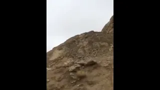 مرقد السيدة حور والسيدة نور بنات الامام الكاظم في مشهد 