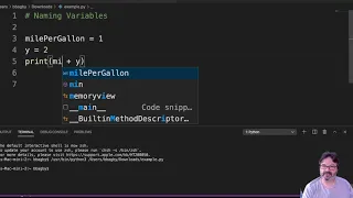 Naming Variables python