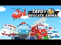 Download Lagu Tayo ve Hayvan Kurtarma🐶 l #1-8 Bölüm Derlemesi l Çocuk Masalları l KÜÇÜK OTOBÜS TAYO