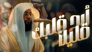  ق ل م ن ي رز ق ك م م ن  الس  ماوات  و الأ رض  ق ل  الل  ه     آية تطمئن القلب وتريح النفس     دندنها