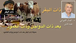 معركة ذات البقر ما سترى وليس ما تسمع 