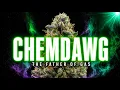 Chemdawg The Mystery Strain That Built the Modern Gas Era