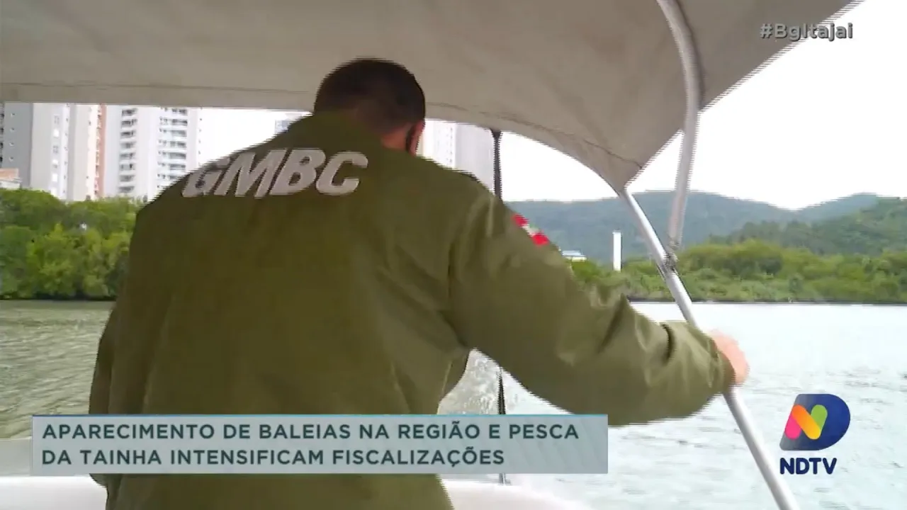 Aumenta fiscalização nas praias durante pesca da tainha