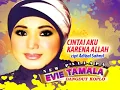 Download Lagu CINTAI AKU KARNA ALLAH ~EVIE TAMALA