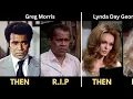 Mission Impossible Cast Then and Now 1966 to 2025